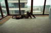 katrina.zaiceva Altpins Profile Picture