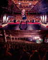 avrillavigne Altpins Profile Picture