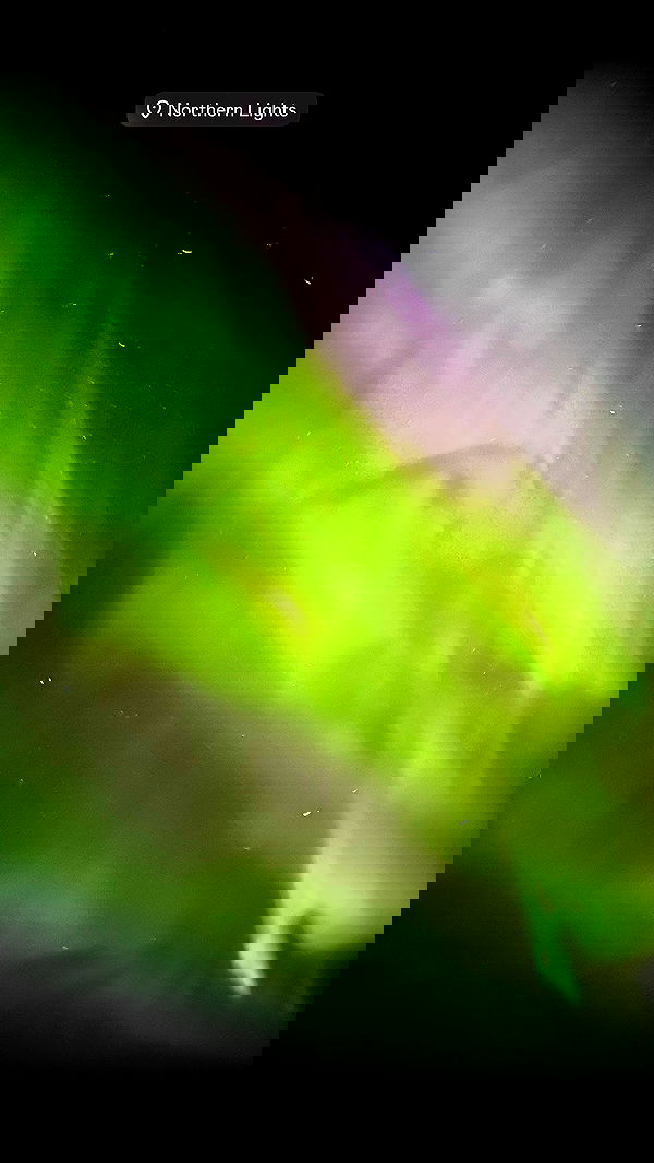 taylor.creeden taylor.creeden archive image