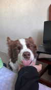 _broock_ Altpins Profile Picture