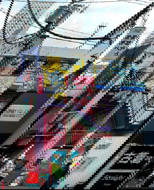 taylor.creeden taylor.creeden archive image