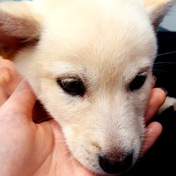 daxbin instagram image archive image