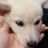 daxbin Altpins Profile Picture