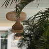 israel_adele_ Altpins Profile Picture