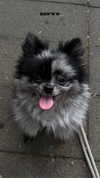 nina.kxs Altpins Profile Picture