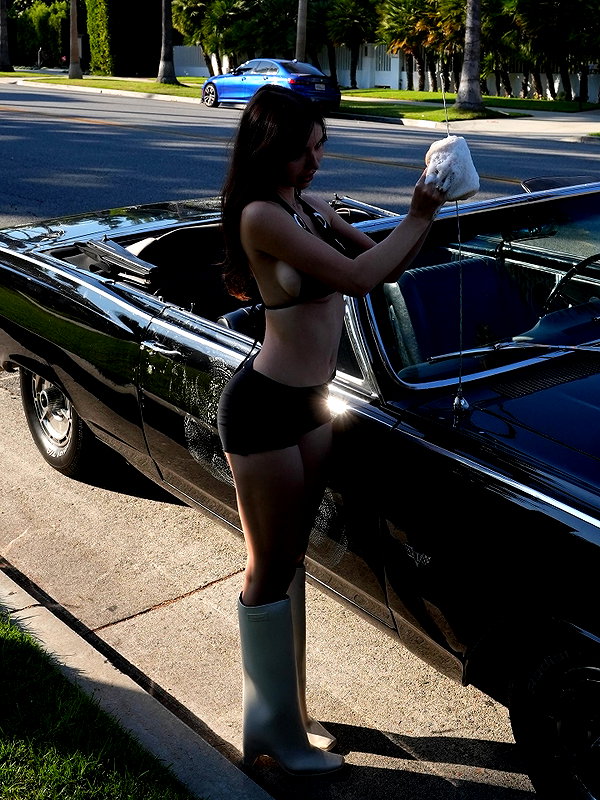 sophiemudd sophiemudd archive image