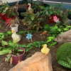 gisellelee8 Altpins Profile Picture