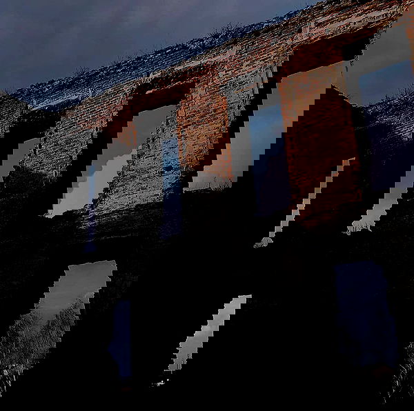 annfigmax image ~ Altpins