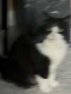 catl0verr69 Altpins Profile Picture