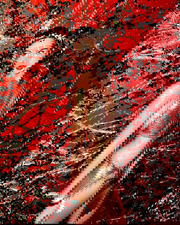 taylor.creeden taylor.creeden archive image