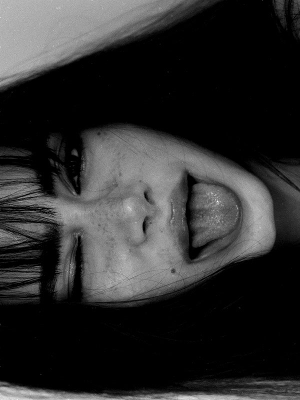 _lironatias _lironatias archive image