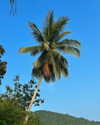 auddk_77 Altpins Profile Picture