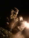 x.remibancks Altpins Profile Picture