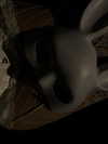 astarwbry_ Altpins Profile Picture