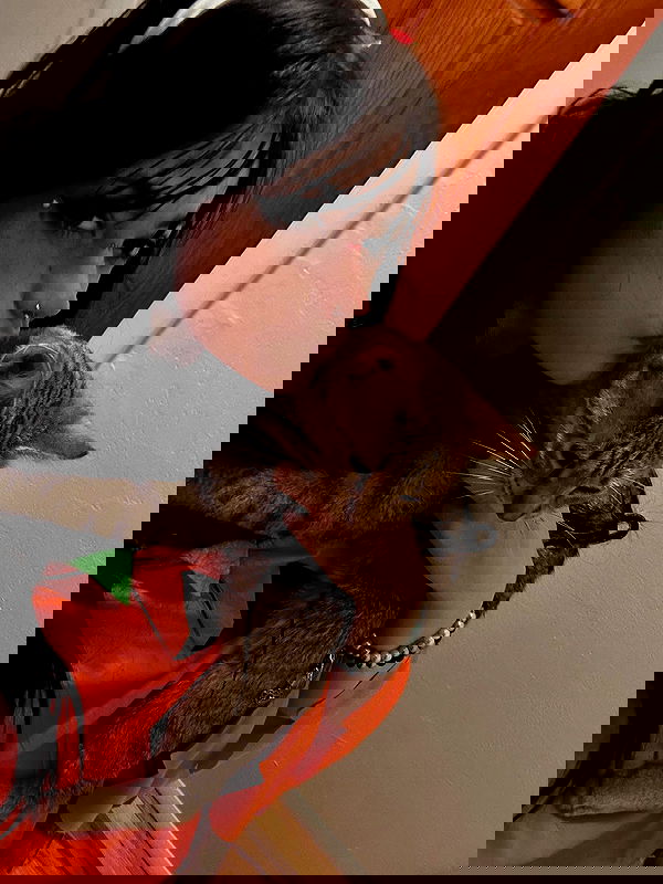 _animechika_ image ~ Altpins