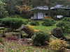 forestowwwl Altpins Profile Picture