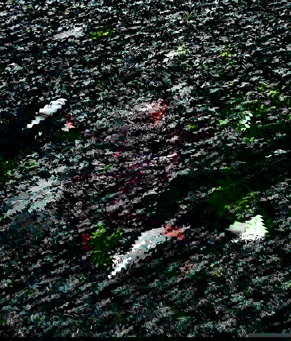 kkulakovaa image ~ Altpins