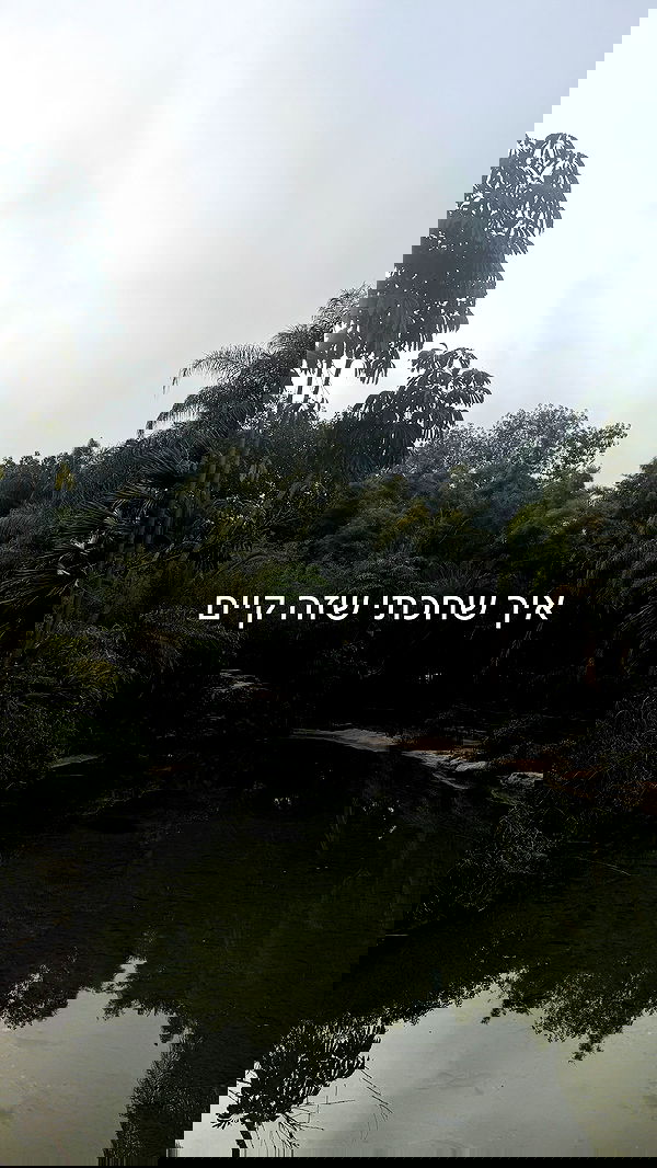 strawberryshanz strawberryshanz archive image