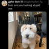 catl0verr69 Altpins Profile Picture