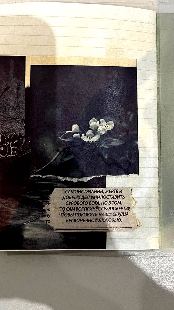 stranstviepera instagram image archive image