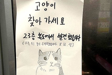 daxbin instagram image archive image