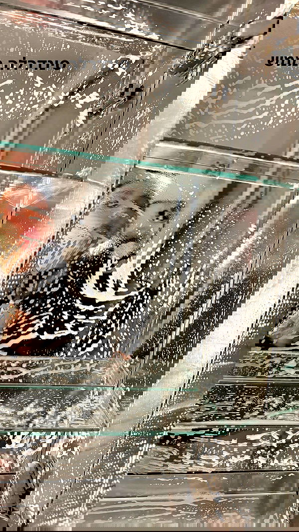 biton__adi biton__adi archive image