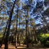 solzarubin_ Altpins Profile Picture