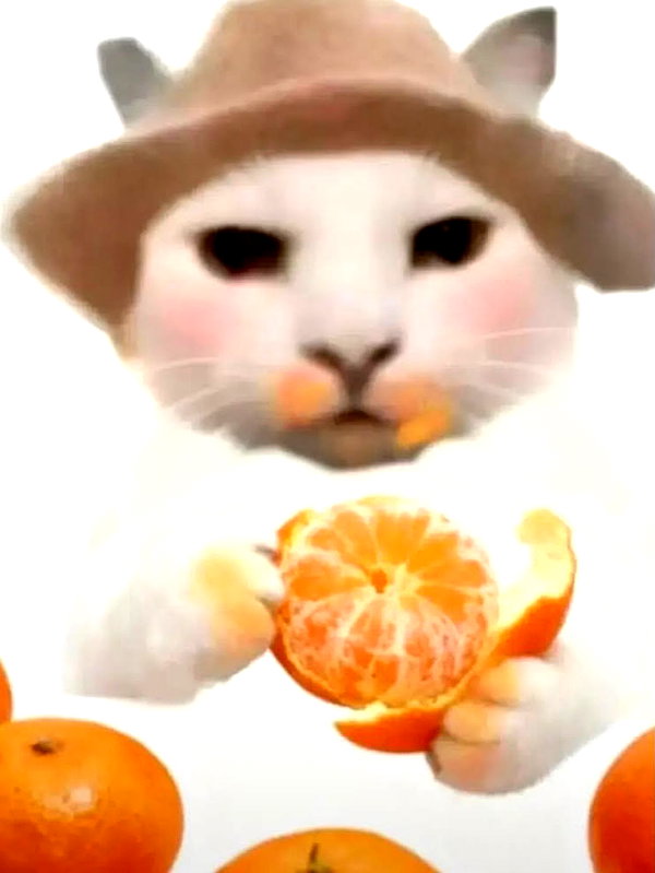 milkibunshehe instagram image archive image