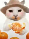 milkibunshehe Altpins Profile Picture