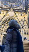 nicole.shpo Altpins Profile Picture