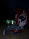 astarwbry_ Altpins Profile Picture