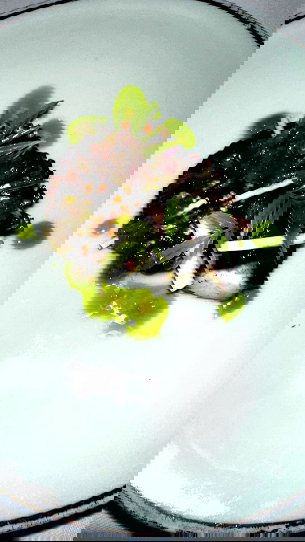 taylor.creeden taylor.creeden archive image