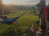 lila.clarkson Altpins Profile Picture