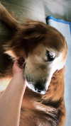 analuvillarreal Altpins Profile Picture