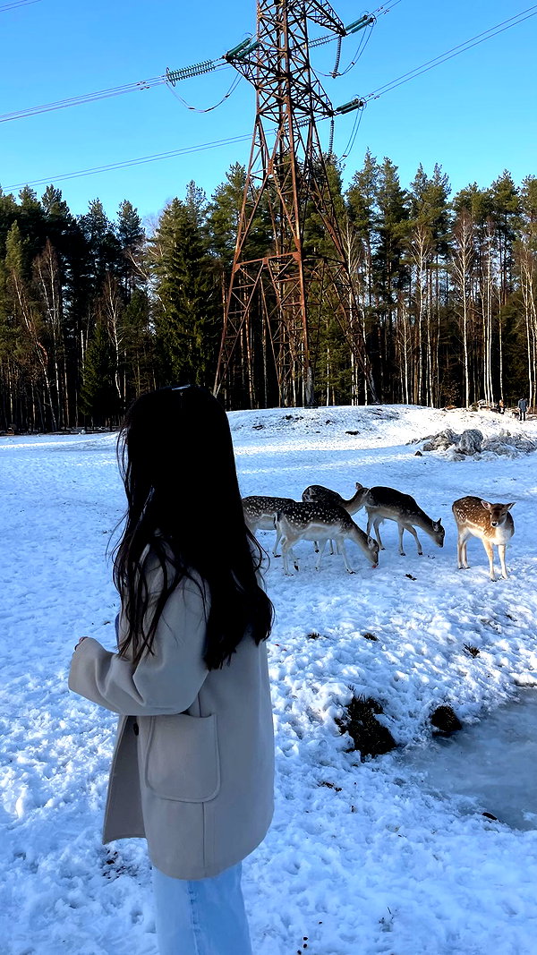 viki_dominev instagram image archive image