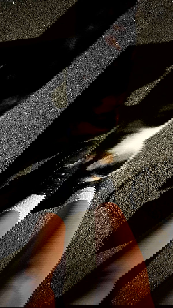 kitty.elliss kitty.elliss archive image