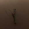 yifan.liii Altpins Profile Picture