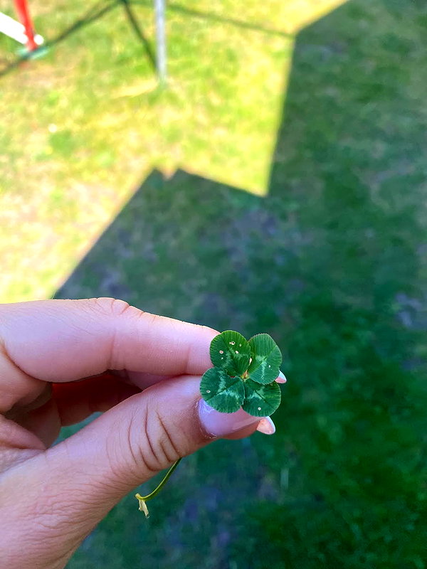 ek3b.chapman instagram image archive image