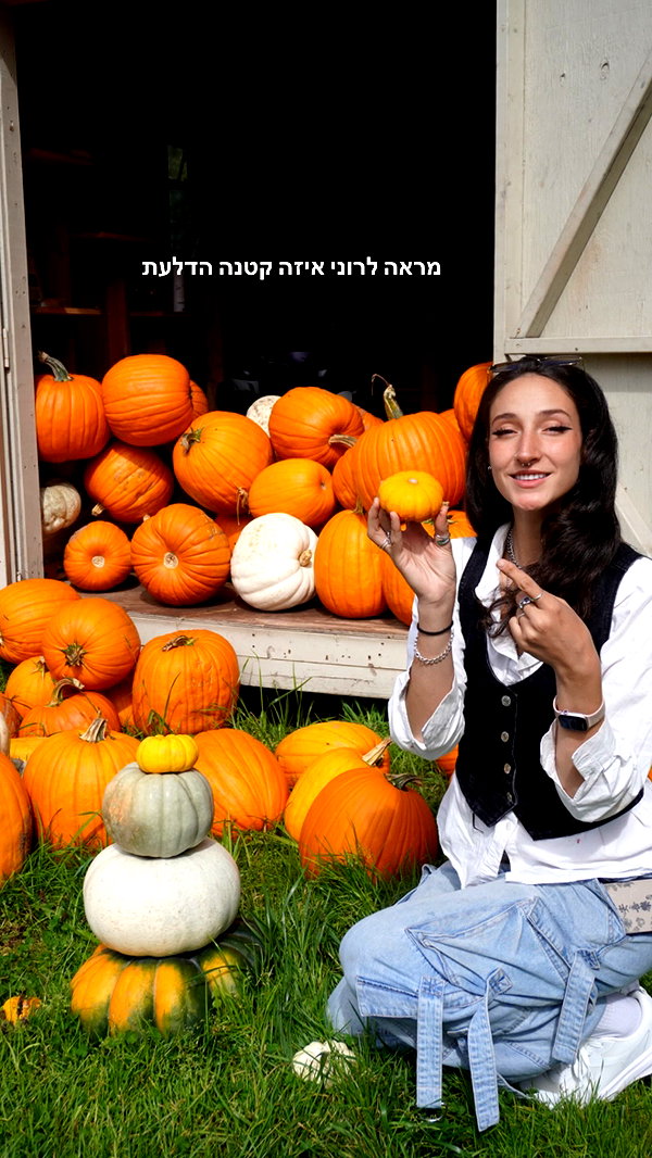 biton__adi instagram image archive image