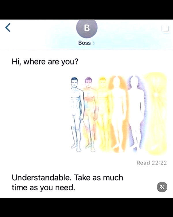 leanbeefpatty instagram image archive image