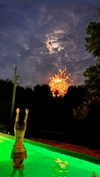 tatumchurch Altpins Profile Picture