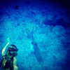 gigihadid Altpins Profile Picture