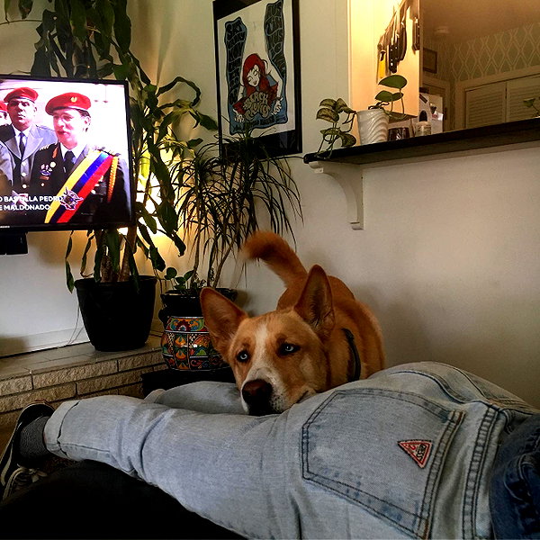 lizardbabychloe instagram image archive image