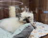 ellaailiff Altpins Profile Picture