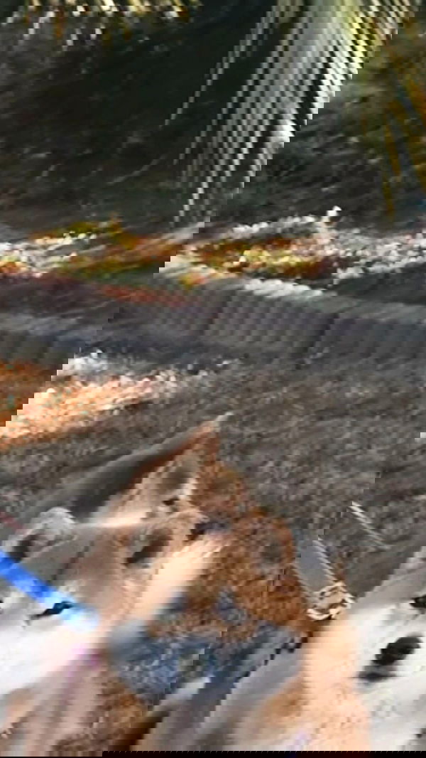 zommmbri zommmbri archive image