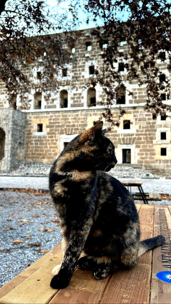 miikheeva_stasiiya instagram image archive image