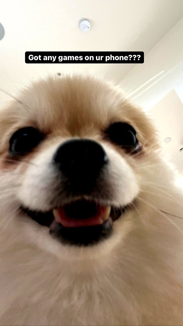 sssniperwolf instagram image archive image