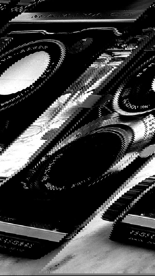 taylor.creeden taylor.creeden archive image