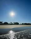 daisy_r_19 Altpins Profile Picture