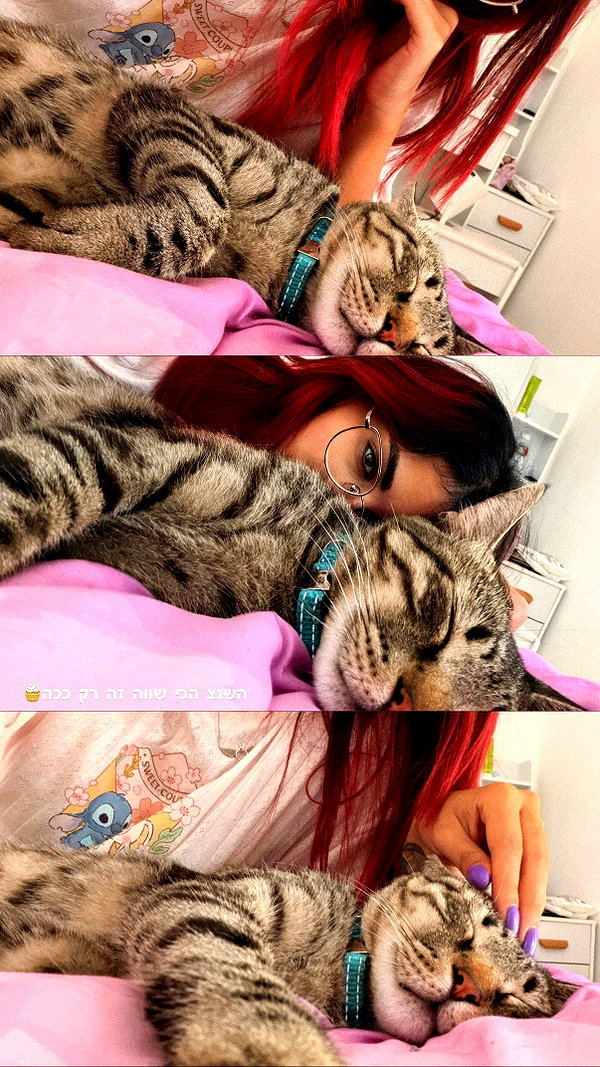 shanidahan7 instagram image archive image